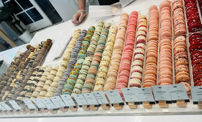 Růže Cake House Picture 7