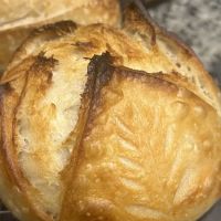 Olivia's Tiny Bakery ico