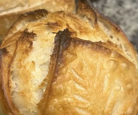 Olivia's Tiny Bakery
