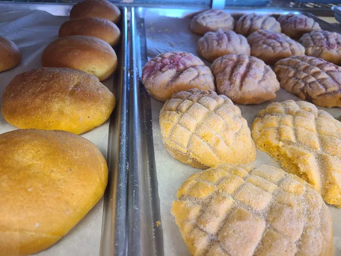 El Fenix Bakery Picture 8
