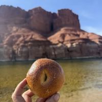 Bagelwick @ The Kitchen's Market ico