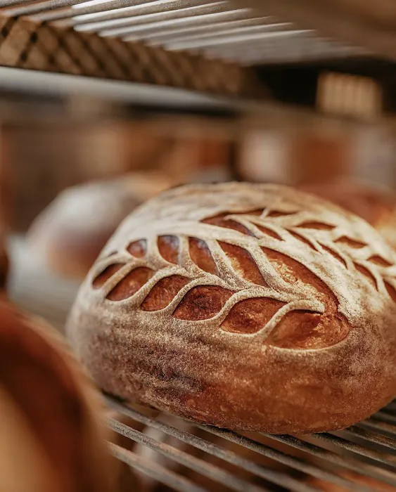 Proof Bread Picture 9
