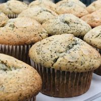 Bread Brothers Bakery ico