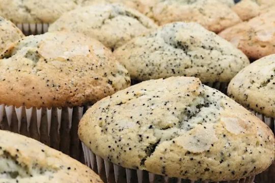 Bread Brothers Bakery