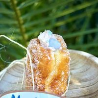 MauiSadas ico