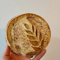 For the Love of Sourdough: A Desert Organic Sourdough House ico