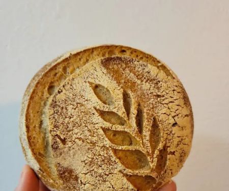 For the Love of Sourdough: A Desert Organic Sourdough House
