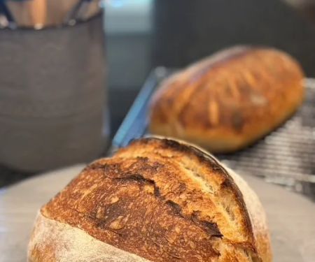 Starter's Bakery