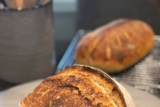 Starter's Bakery