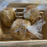 Desert Willow bakery ico