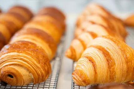 Appetit Picture 7