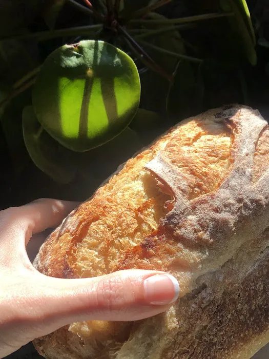 Yawning Bear Bread Co. Picture 10