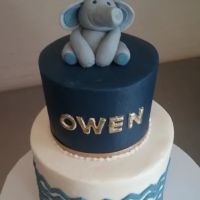 Sauer Cakes ico