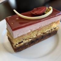 Pistacia Vera ico