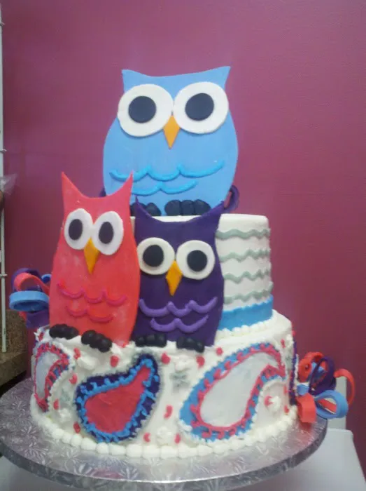 Shawnee Hills Bakery featuring Dublin Cake Cottage Picture 5