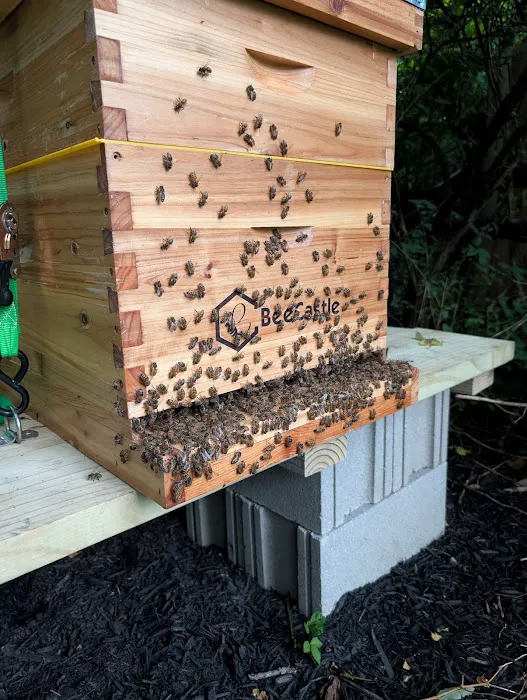 Hearth and Hive Picture 6