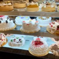 St Lucie Bakery At Bayshore ico