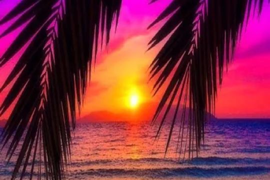Incredible Cakes