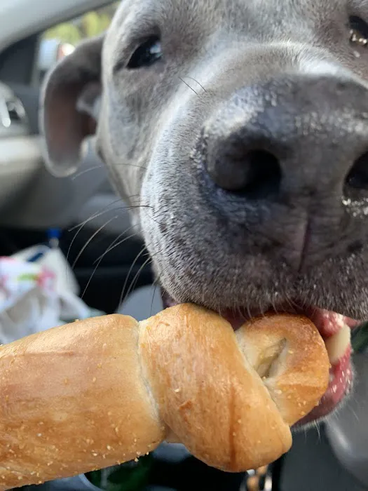 Max's Gourmet Bagels Picture 9
