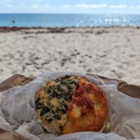 Bagel Bistro Hobe Sound ico