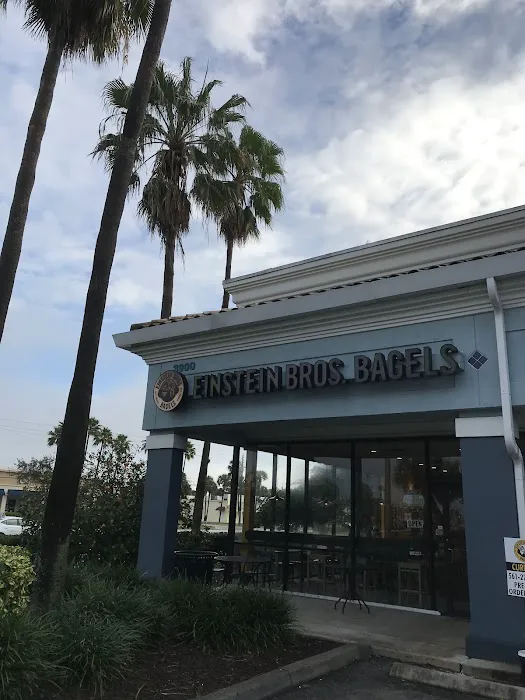 Einstein Bros. Bagels Picture 8
