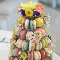 Macaroner ico