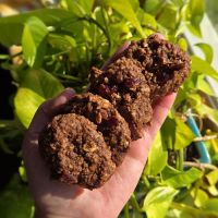 Alyssas Bakery ico