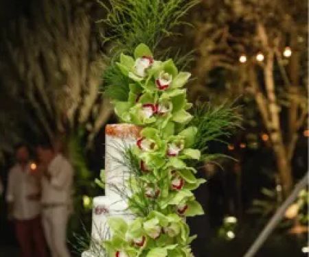 Sweet Stacy's Palm Beach
