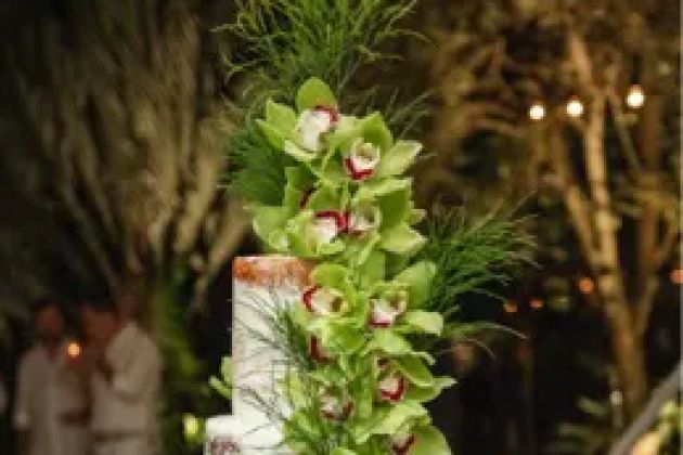 Sweet Stacy's Palm Beach