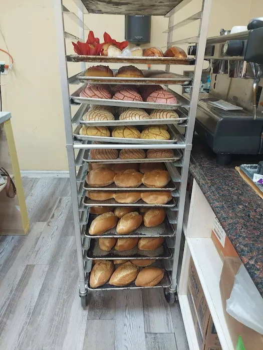 panaderia y cafeteria la hidalguense Picture 6
