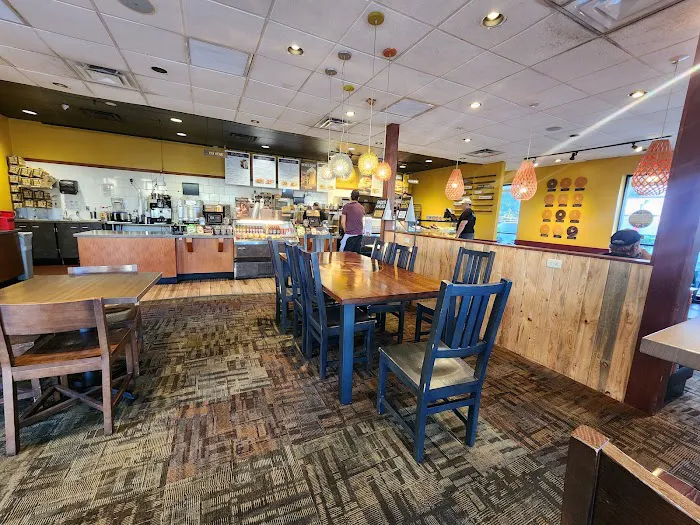 Einstein Bros. Bagels Picture 10