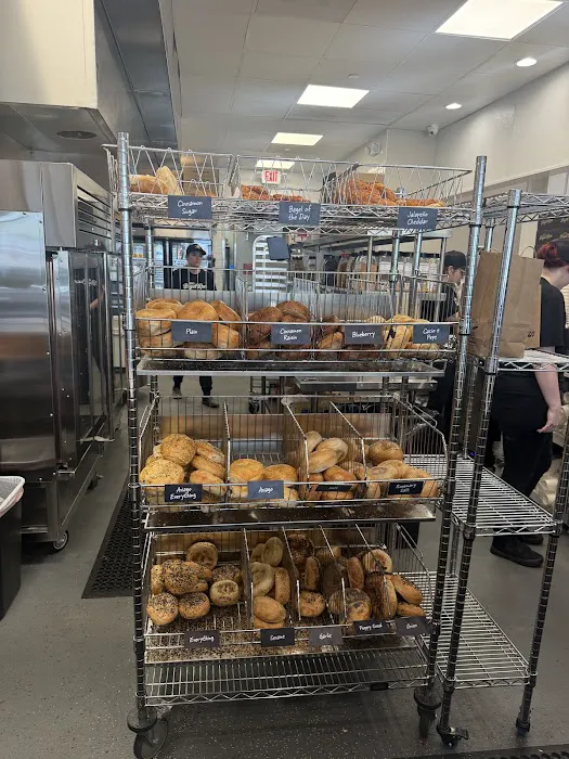 Jeff's Bagel Run Picture 10