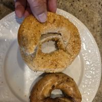 Brooklyn Water Bagel ico