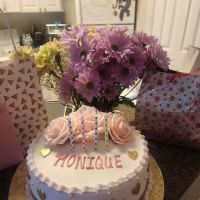 Dominican Cakes & Bridal Shop ico