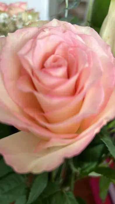 Flowers Distributing Co Picture 1