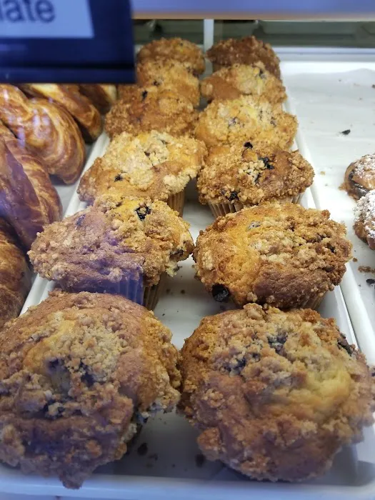 Boston Bagel Cafe Picture 4