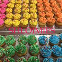 Shloimies Kosher Bakery ico