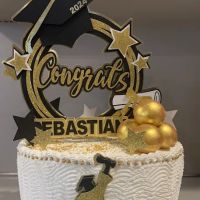Delicious Cakes Designs (Homemade) ico