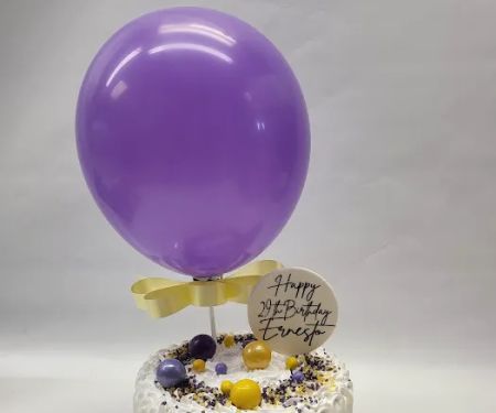 Panchis Bakery CAKE IN A DAY