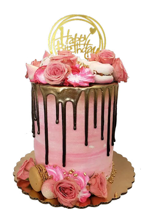 Panchis Bakery CAKE IN A DAY Picture 7