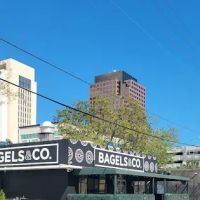 Bagels & Co. ico