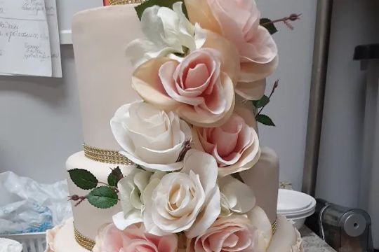 Vivis Cake