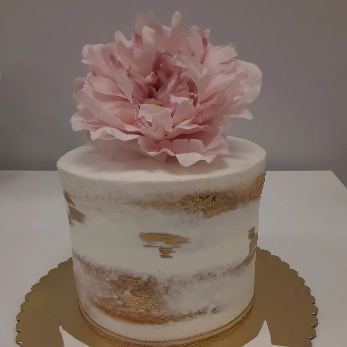 Vivis Cake Picture 8
