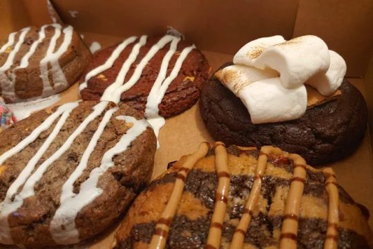 Midnight Cookies & Cream Davie