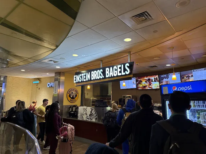 Einstein Bros. Bagels Picture 8