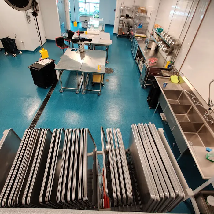 Eclair Affaire Laboratory Picture 6