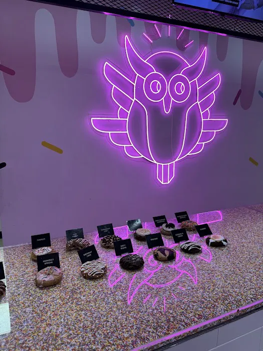 Night Owl Cookies Picture 4