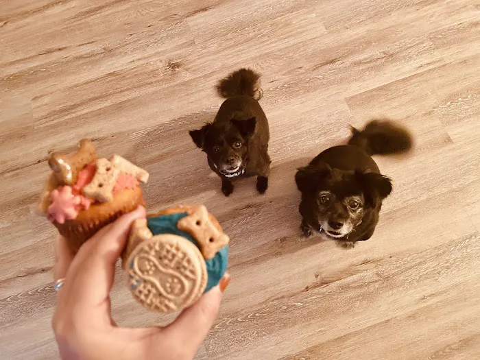 Pawsome Cakes Dog Bakery Picture 8