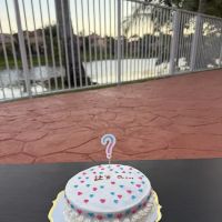 Pawsome Cakes Dog Bakery ico