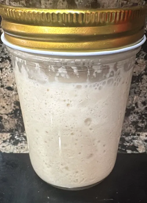 sourdough Miami Picture 1